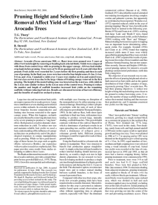 H S 36(4):699–702. 2001. commercial cultivar (Stassen et al., 1999).