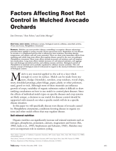 Factors Affecting Root Rot Control in Mulched Avocado Orchards Jim Downer,