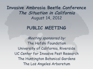 The Situation in California Invasive Ambrosia Beetle Conference PUBLIC MEETING
