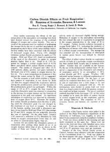 '. Carbon Dioxide Respiration II.