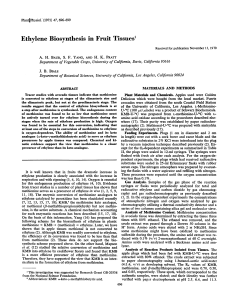 Ethylene Biosynthesis in Fruit Tissuest PlantlPhysiol.-