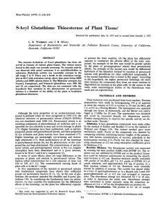 S-Acyl Glutathione Tissue1 Thioesterase of Plant California,