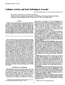 Activity Softening Cellulase and Fruit