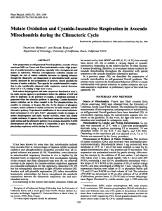 Oxidation Cyanide-Insensitive Malate and