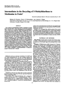 5-Methylthioribose Fruitsl Recycling Intermediates