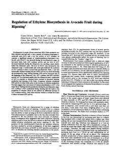 Ripening' Biosynthesis Ethylene Regulation of