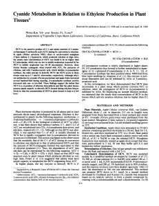 Cyanide Metabolism Relation Ethylene Production in Plant