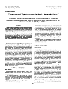 Xylanase Xylosidase and Activities