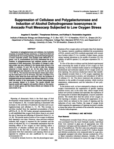 Suppression of Cellulase Polygalacturonase Induction of Alcohol Dehydrogenase Isoenzymes in