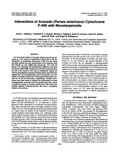 Interactions Cytochrome P-450 Monoterpenoids