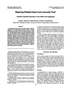 Ripening-Related Gene from Avocado Fruit1 Polypeptide Ethylene-inducible Expression