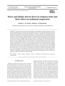 Wave and tidally driven flows in eelgrass beds and