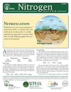 Nitrogen Nitrification