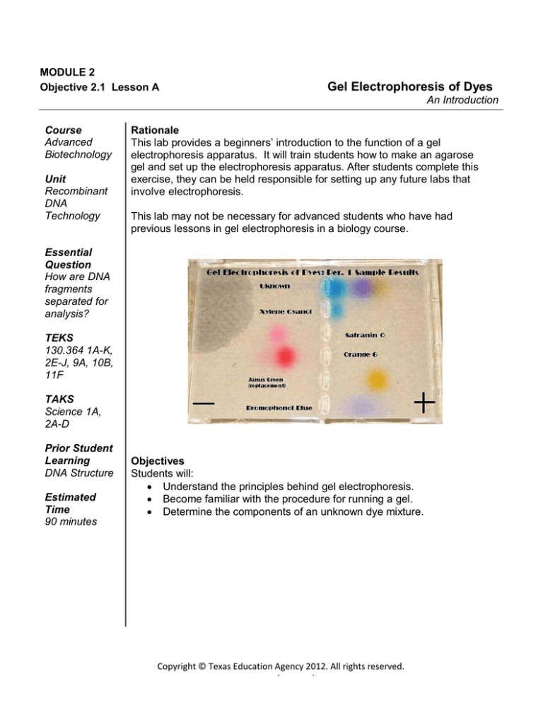 gel-electrophoresis-of-dyes