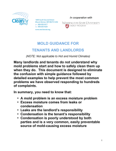 MOLD GUIDANCE FOR TENANTS AND LANDLORDS