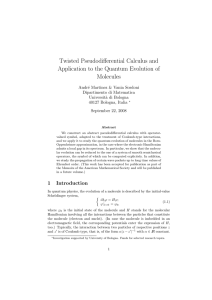 Twisted Pseudodifferential Calculus and Application to the Quantum Evolution of Molecules