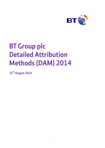 BT Group plc Detailed Attribution Methods (DAM) 2014