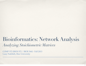 Bioinformatics: Network Analysis Analyzing Stoichiometric Matrices Luay Nakhleh, Rice University
