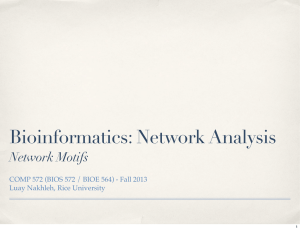 Bioinformatics: Network Analysis Network Motifs Luay Nakhleh, Rice University