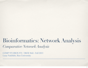 Bioinformatics: Network Analysis Comparative Network Analysis Luay Nakhleh, Rice University