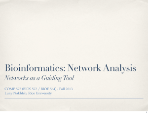 Bioinformatics: Network Analysis Networks as a Guiding Tool Luay Nakhleh, Rice University