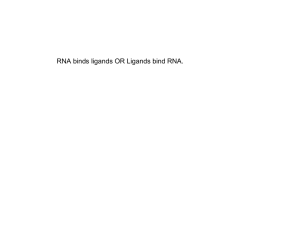 RNA binds ligands OR Ligands bind RNA.