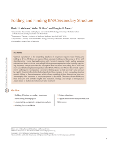 Folding and Finding RNA Secondary Structure David H. Mathews