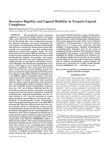 Receptor Rigidity and Ligand Mobility in Trypsin–Ligand Complexes