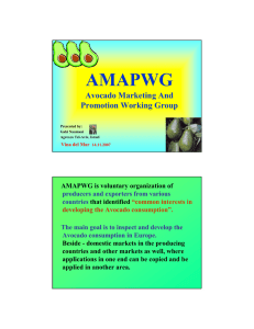 AMAPWG Avocado Marketing And Promotion Working Group