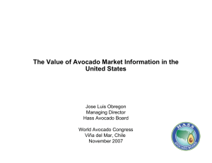 The Value of Avocado Market Information in the United States
