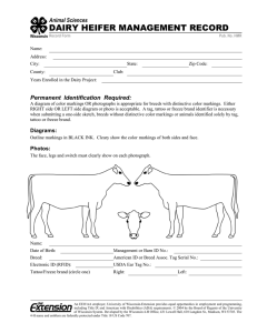 DAIRY HEIFER MANAGEMENT RECORD Animal Sciences Permanent  Identification  Required:
