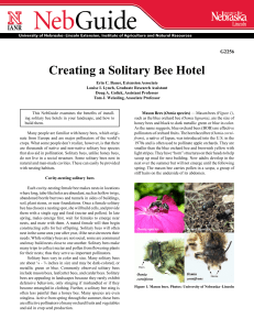 Creating a Solitary Bee Hotel Know how. Know . now