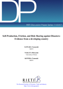 DP Self-Production, Friction, and Risk Sharing against Disasters: