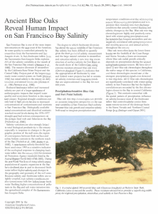 Ancient Blue Oaks Reveal Human Impact on San Francisco Bay Salinity