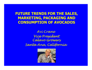 FUTURE TRENDS FOR THE SALES, MARKETING, PACKAGING AND CONSUMPTION OF AVOCADOS