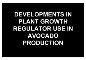 DEVELOPMENTS IN PLANT GROWTH REGULATOR USE IN AVOCADO