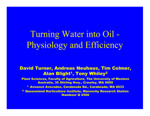 Turning Water into Oil - Physiology and Efficiency Alan Blight