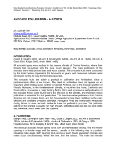 New Zealand and Australia Avocado Grower’s Conference ’05.  20-22... Zealand.  Session 7.  Flowering, fruit set and yield....