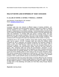 ROLE OF WATER LOSS IN RIPENING OF ‘HASS’ AVOCADOS
