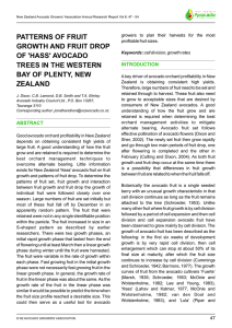 PATTERNS OF FRUIT GROWTH AND FRUIT DROP OF 'HASS' AVOCADO