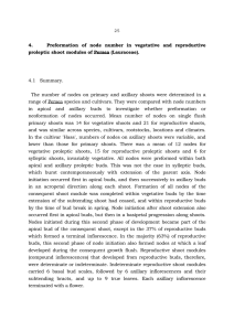 25 4.    Preformation of node number in vegetative... proleptic shoot modules of Persea (Lauraceae).