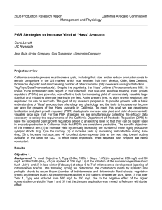 2008 Production Research Report  California Avocado Commission Management and Physiology