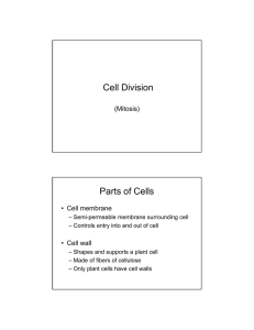 Cell Division Parts of Cells (Mitosis) • Cell membrane