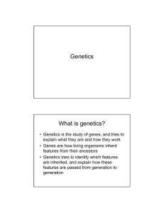 Genetics What is genetics?