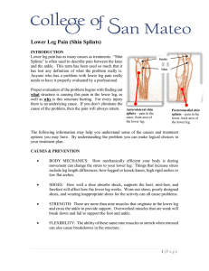 Lower Leg Pain (Shin Splints)