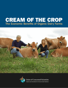 cream of the crop  The Economic Benefits of Organic Dairy Farms