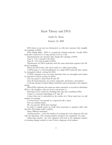 Knot Theory and DNA Jenifer K. Mann January 24, 2008