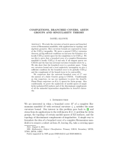 COMPLETIONS, BRANCHED COVERS, ARTIN GROUPS AND SINGULARITY THEORY