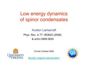 Low energy dynamics of spinor condensates Austen Lamacraft