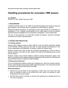 Handling procedures for avocados 1999 season